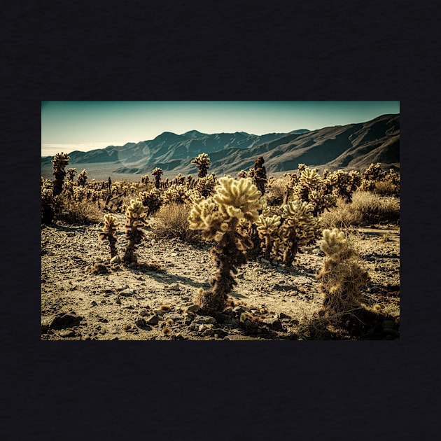 Jumping Cholla Cactus at Joshua Tree National Park by Gestalt Imagery